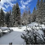 Daire Hoehwald - Maranerhang Arosa