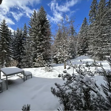 Appartamento Hoehwald - Maranerhang Arosa