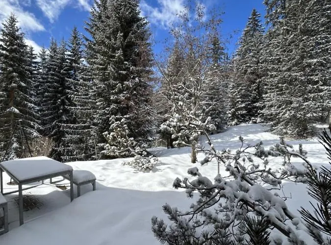 Apartment Höhwald - Maranerhang Arosa